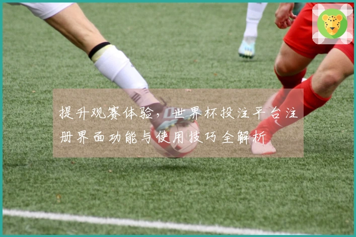 提升观赛体验,世界杯投注平台注册界面功能与使用技巧全解析