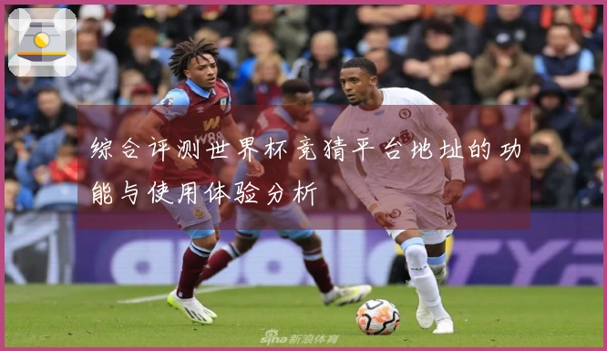 综合评测世界杯竞猜平台地址的功能与使用体验分析