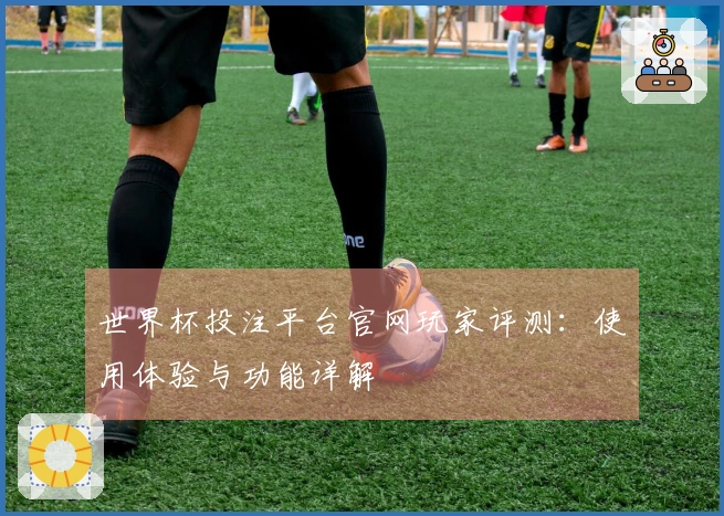 世界杯投注平台官网玩家评测：使用体验与功能详解