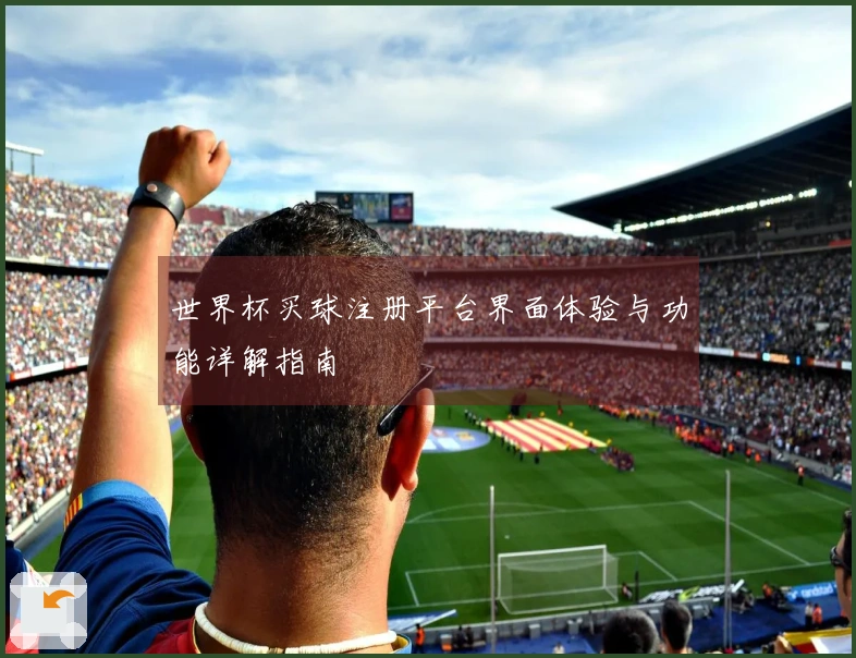 世界杯买球注册平台界面体验与功能详解指南