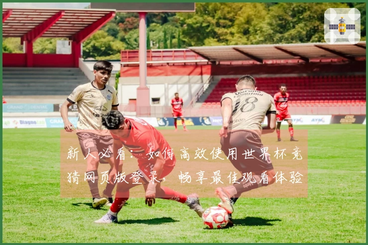 新人必看：如何高效使用世界杯竞猜网页版登录，畅享最佳观看体验与功能介绍