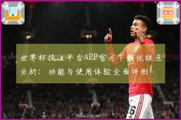 世界杯投注平台APP官方下载优缺点分析：功能与使用体验全面评测