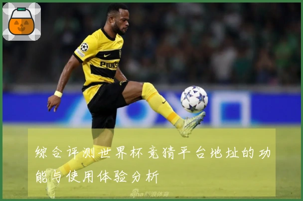 综合评测世界杯竞猜平台地址的功能与使用体验分析