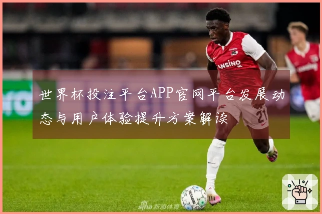 世界杯投注平台APP官网平台发展动态与用户体验提升方案解读