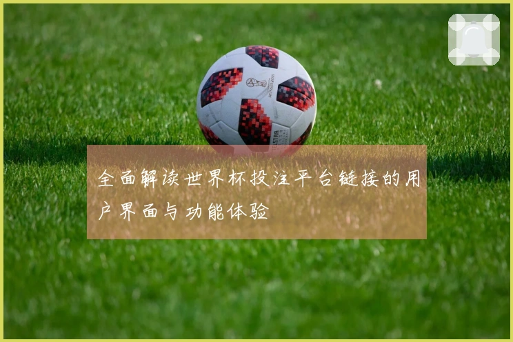 全面解读世界杯投注平台链接的用户界面与功能体验