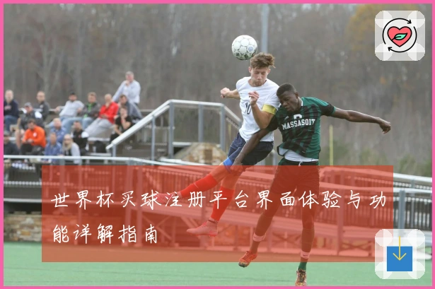 世界杯买球注册平台界面体验与功能详解指南