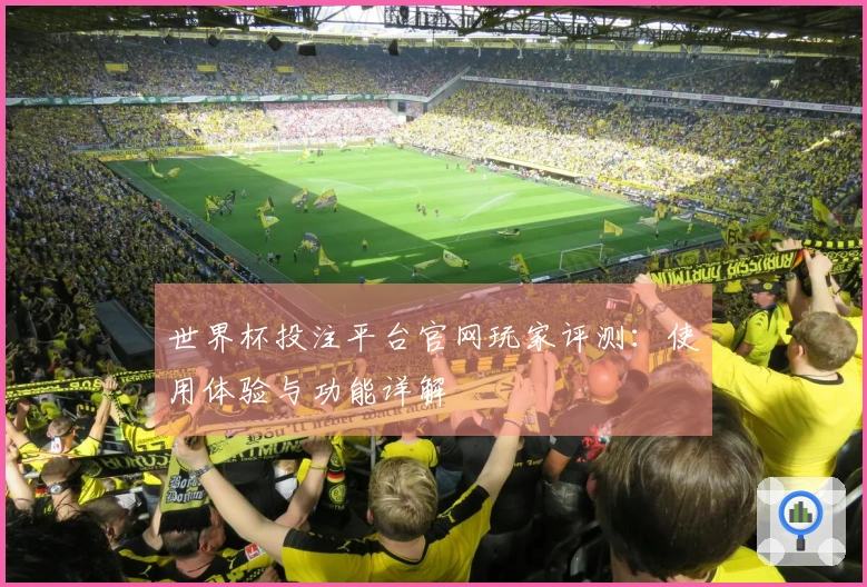 世界杯投注平台官网玩家评测：使用体验与功能详解