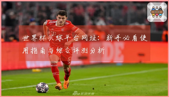 世界杯买球平台网址：新手必看使用指南与综合评测分析