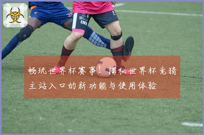 畅玩世界杯赛事！揭秘世界杯竞猜主站入口的新功能与使用体验